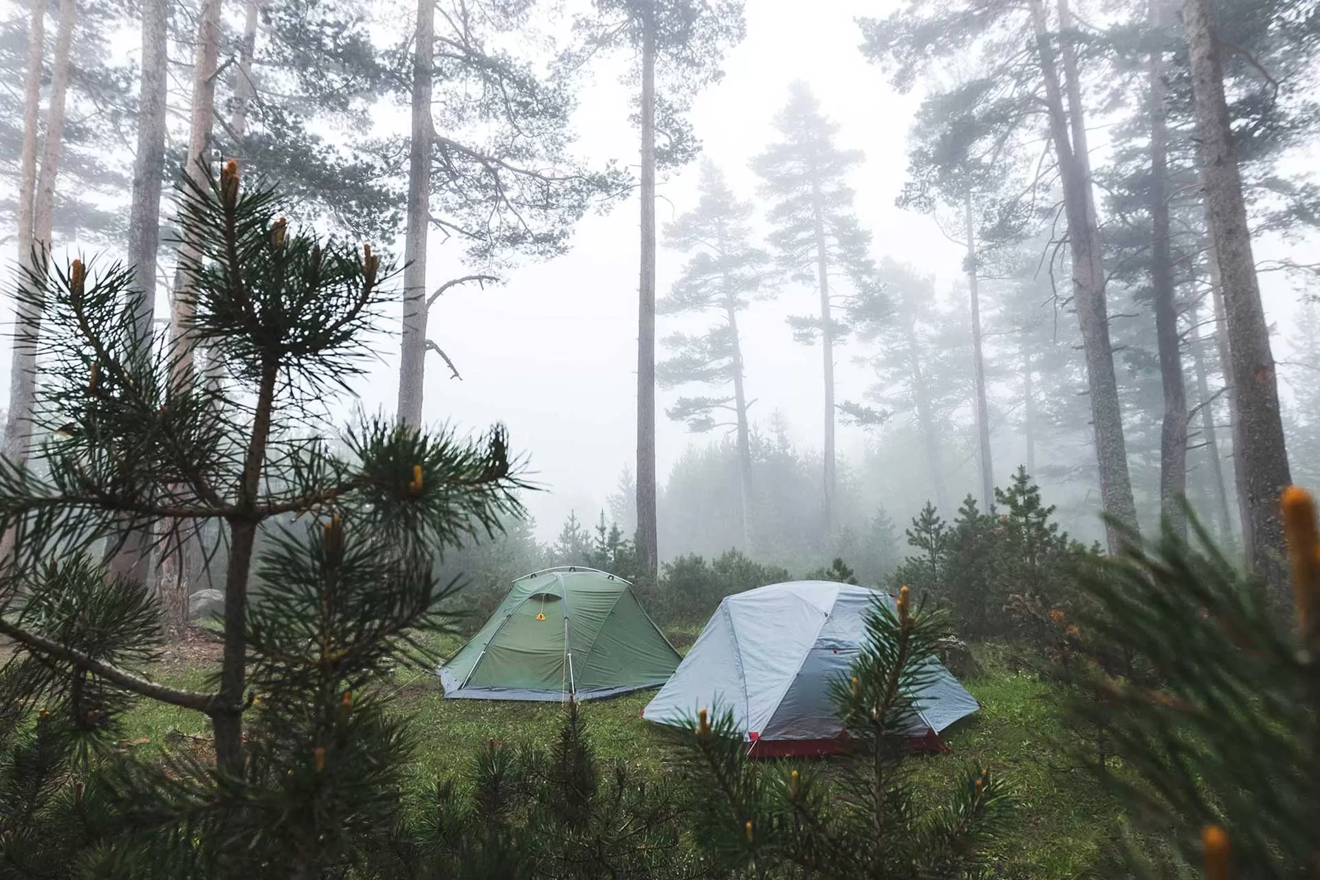 Khám phá và cảm nhận từ thiên nhiên